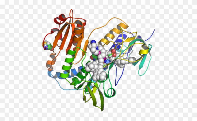 Cytosolic - Cytosolic #1648046