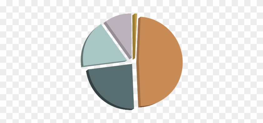 Income Chart - Circle #1649790