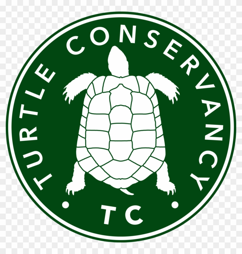 Turtle Conservancy - Turtle Conservancy - Free Transparent PNG Clipart ...