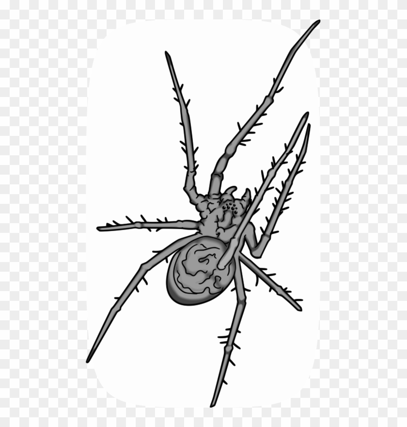 Free Grey Spider - Illustration #1655555