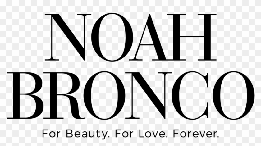 Noah Bronco - Beyonce 4 #1655598