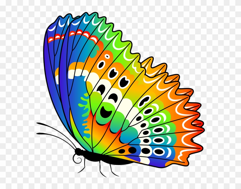 Colorful Butterfly Png Clip Art Image - Clip Art #256690