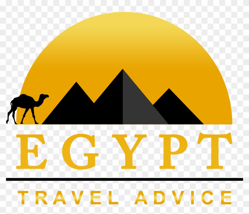 Egypt Travel Advice - Arabian Camel #1658337