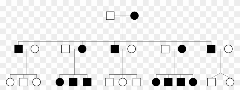 Mitochondrial Pedigree - Mitochondrial Pedigree #1660159