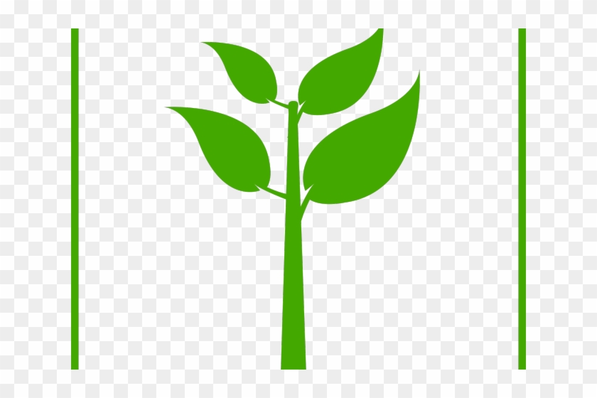 Stem Clipart Banana Stalk - Green Plant Icon Png #1661574