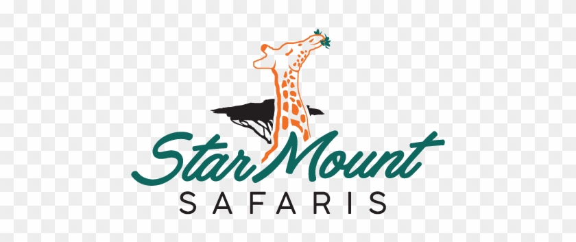 Skip To Content Starmount Safaris - Illustration #1664230