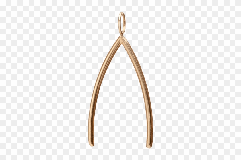 Download Wishbone Pendant Transparent Png - Pendant #1665042