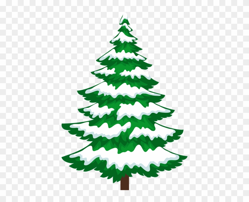 Sosna Z Przezroczystym Klipsem Śniegu Christmas Graphics, - Clip Art Pine Tree Snow #1670534