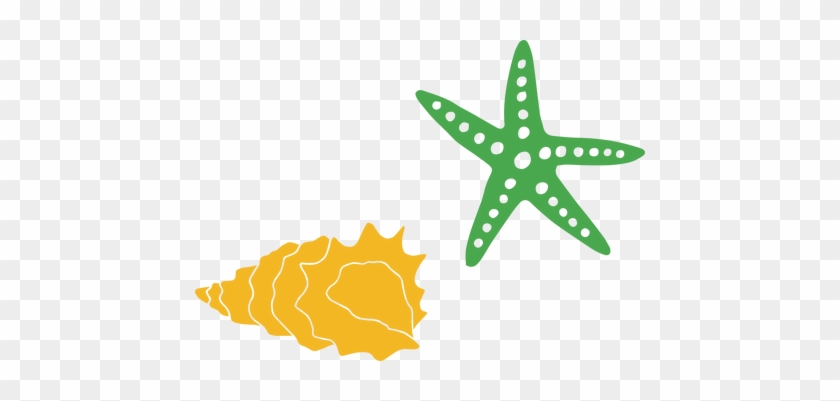 Starfish And Cut Snap Click Supply Co Starfish Shell Svg Free Transparent Png Clipart Images Download