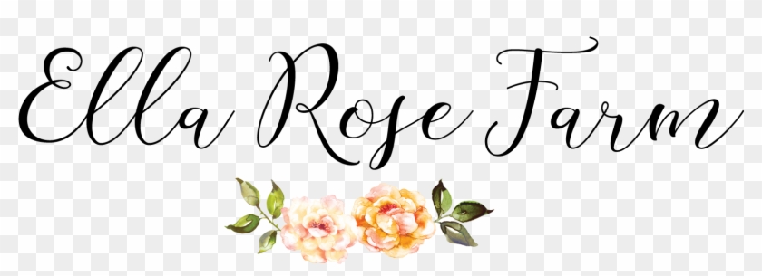 ella rose tumblr clipart