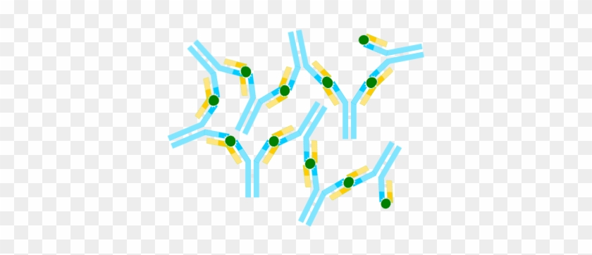 Antibody Png - Antigen Antibody Png #1673531