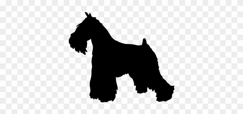 Miniature Scottish Terrier Dog Breed Clip Art - Schnauzer Sticker #1673581