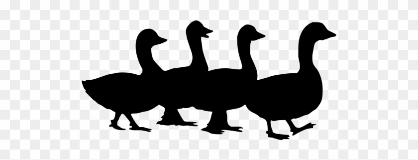 Svg Png - Duck #1676036