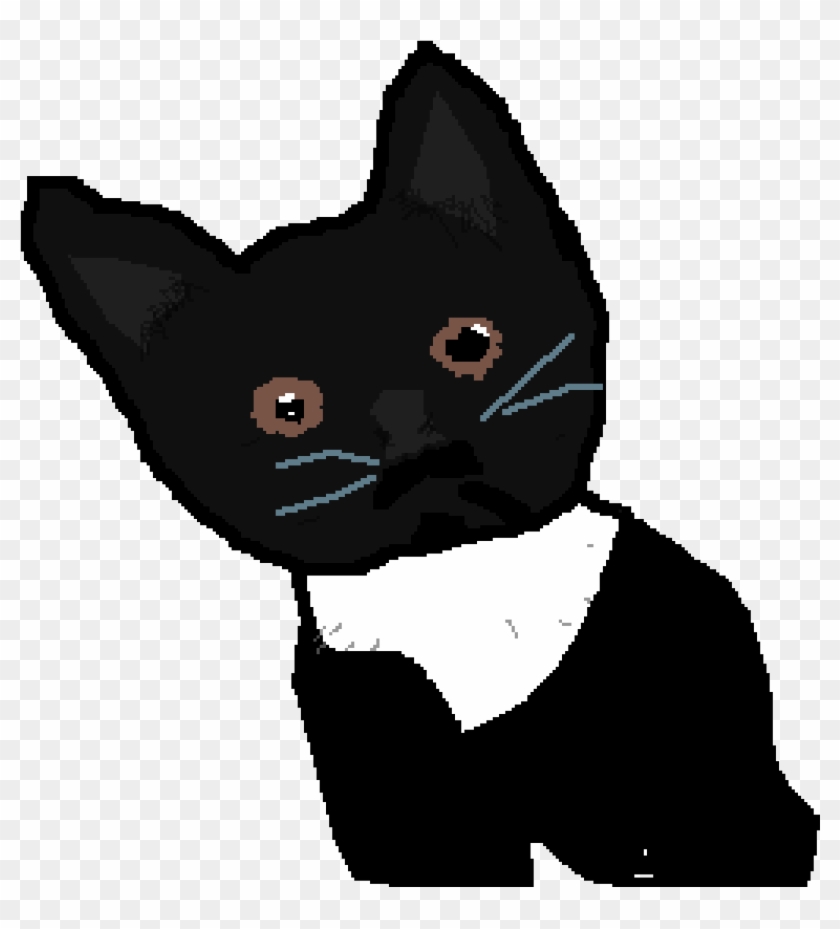 My Tuxedo Kitty - Illustration #1676290