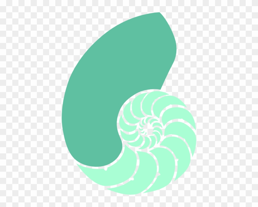 Dklafklhg Clip Art - Chambered Nautilus #1678542