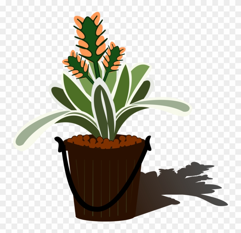 Flowering Plant Plants Aechmea Flowerpot - Bromelia Png Clipart #1678774