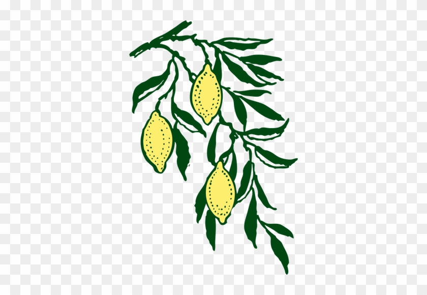 Lemon Branch Clip Art #1679465