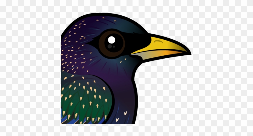 440 X 440 6 - European Starling Clipart #1683011