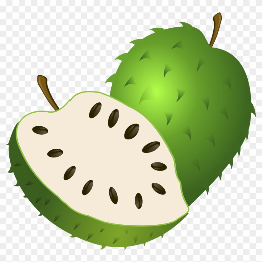 Soursop Clipart #1683051