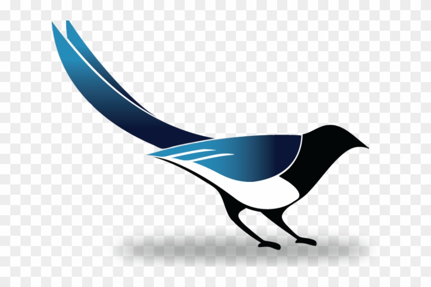 Magpie Clipart Transparent - Magpie Clipart Transparent #1685658