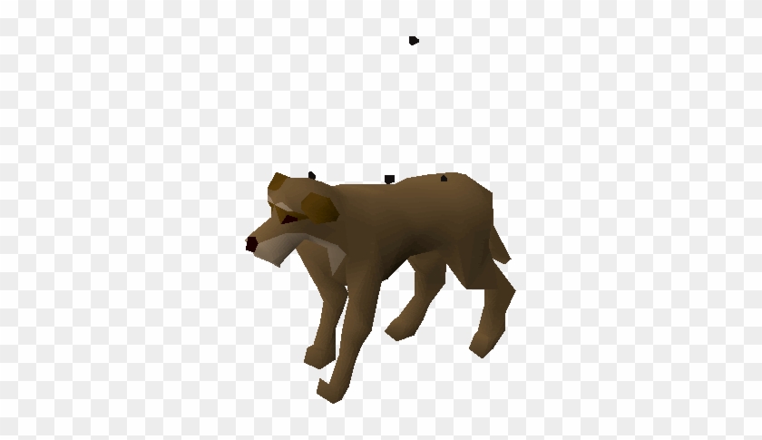 Stray Dog Runescape #1685807