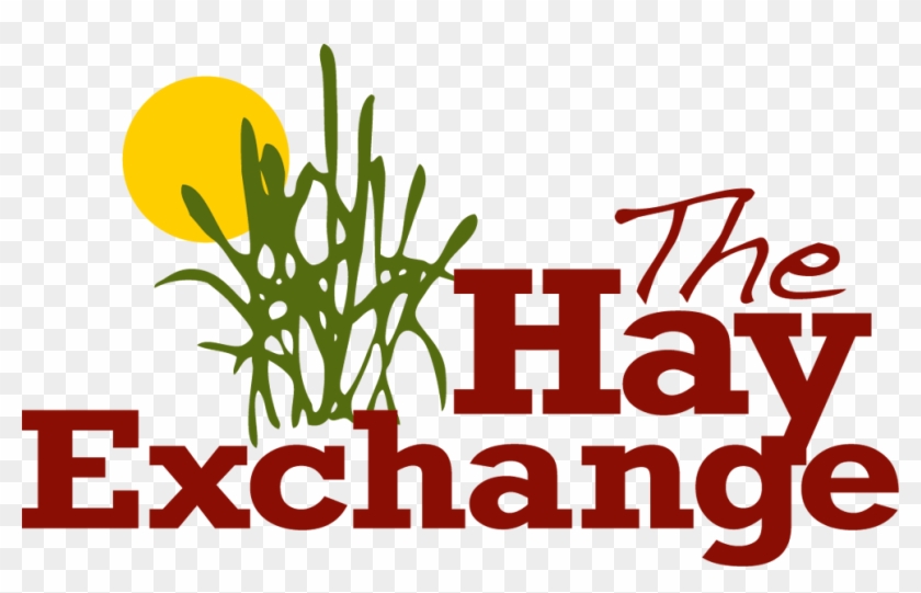 Supplying Quality Hay For More Than 20 Years - Supplying Quality Hay For More Than 20 Years #1686078