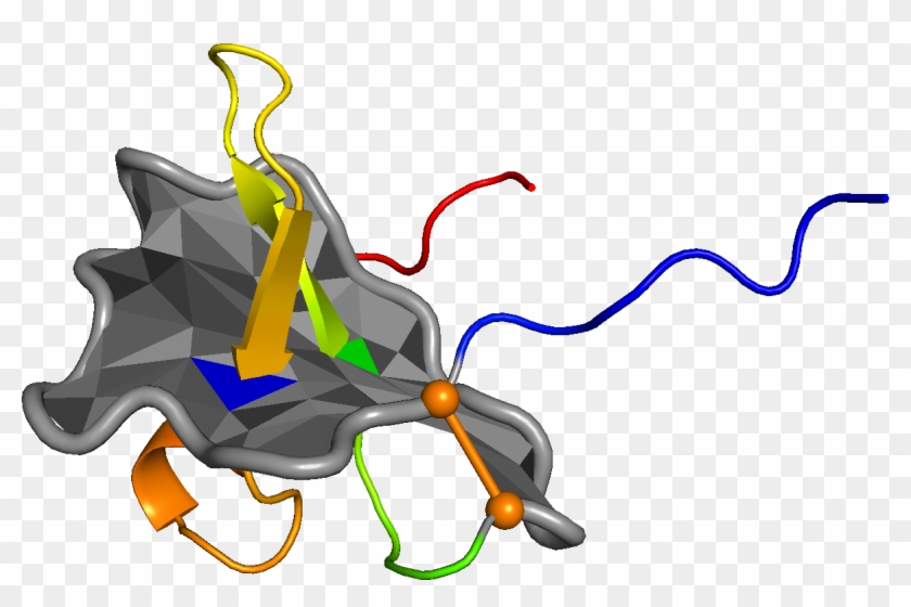 1 Crystal Structure Of Viral Macrophage Inflammatory - Illustration #1686374