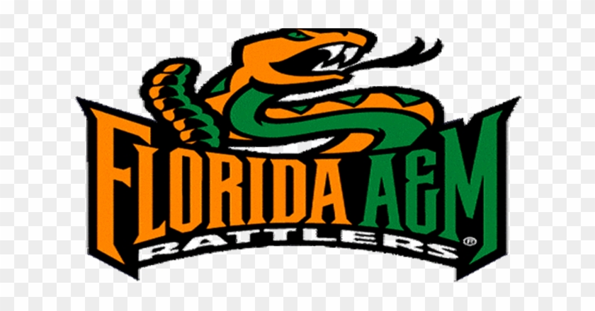 Rattlesnake Clipart Famu - Florida A & M University - Full Size PNG ...