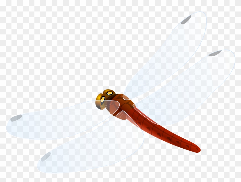 Red Dragonfly Png Clipart - Red Dragonfly Png Clipart - Free ...