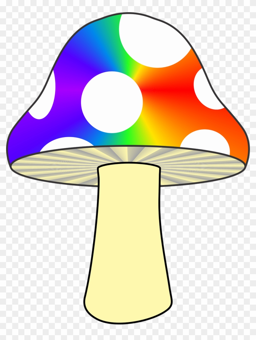 Mushroom,nature,colorful ,fungus,woods - Mushroom Rainbow #1688317