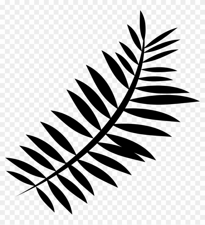 1920 X 1920 2 - Fern Silhouette Transparent Background #1691096