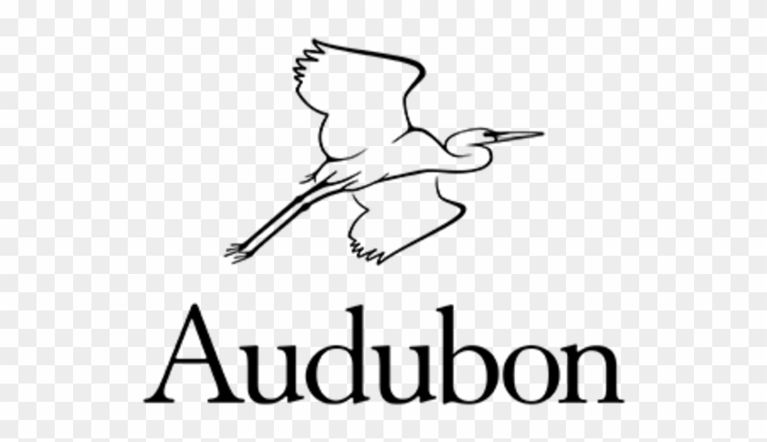 National Audubon Society #1691649