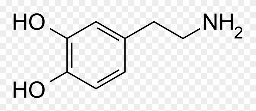 Dopamine Is A Neurotransmitter Made In Our Substantia - Dopamine Formula #1692153