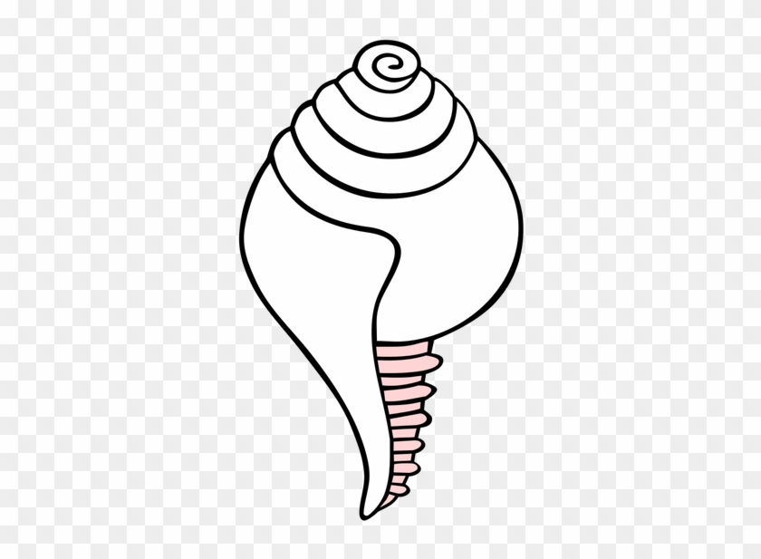 Buddhist Conch Shell Symbol - Sankha Png #1693890