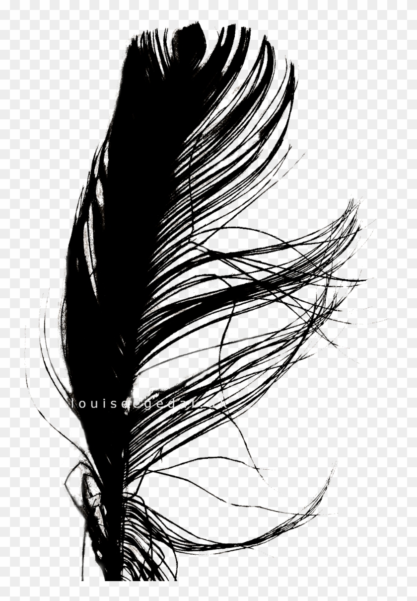 Feather Art Print - Sketch #1694874