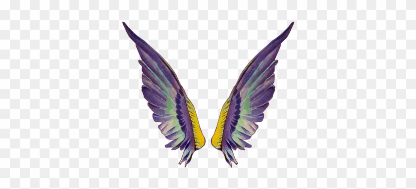 Clip Art Related Wings Transprent Png Free - Fairy Wing Gif Transparent #1695148