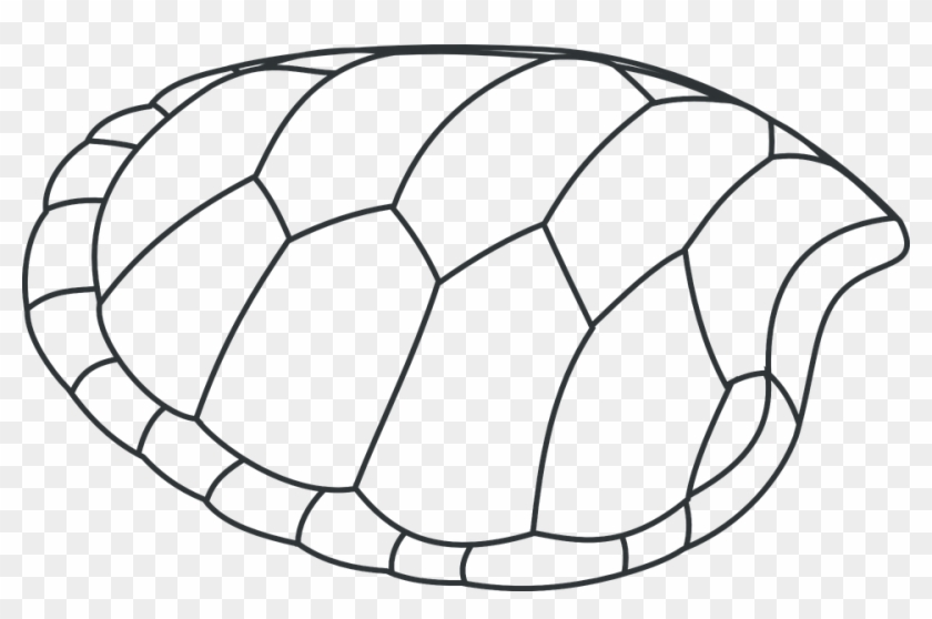 960 X 592 1 - Turtle Clip Art #1695445