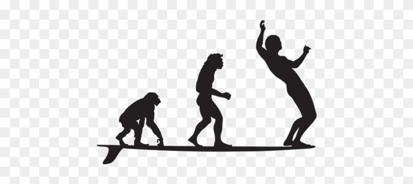 Le Surfing - Transparent Evolution Of Man Png #1699894