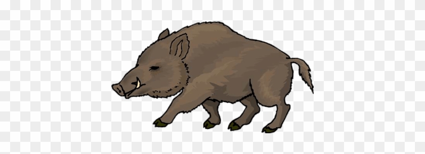 Boar Drawing - Wild Boar Clipart #1700596