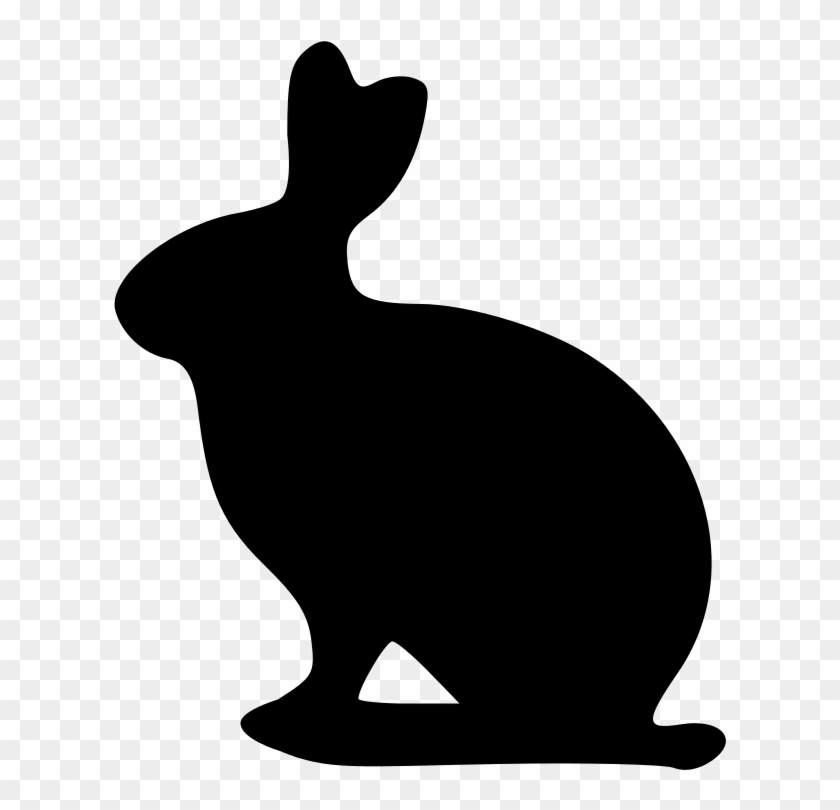 613 X 730 2 - Domestic Rabbit #1701363