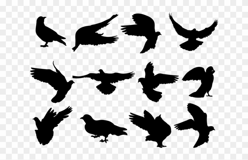 Paloma Silhouettes Vector - Palomas Png Vector #1702690