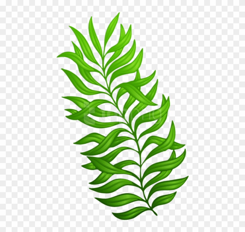 Download Exotic Green Plant Clipart Png Photo - Plant Clip Art Png #1704373