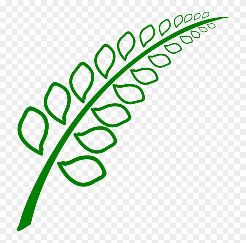 All Photo Png Clipart - Botany #1704780