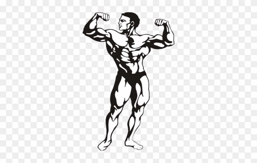 Muscles Clipart - Bodybuilder Clipart #261800