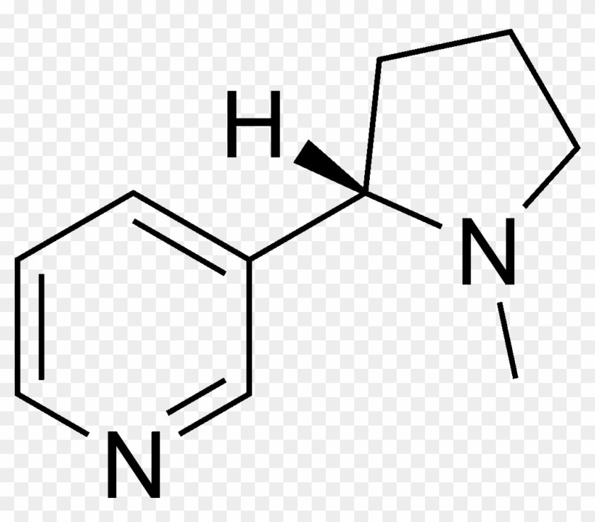 Nicotine Poisoning - Nicotine Png #1708516