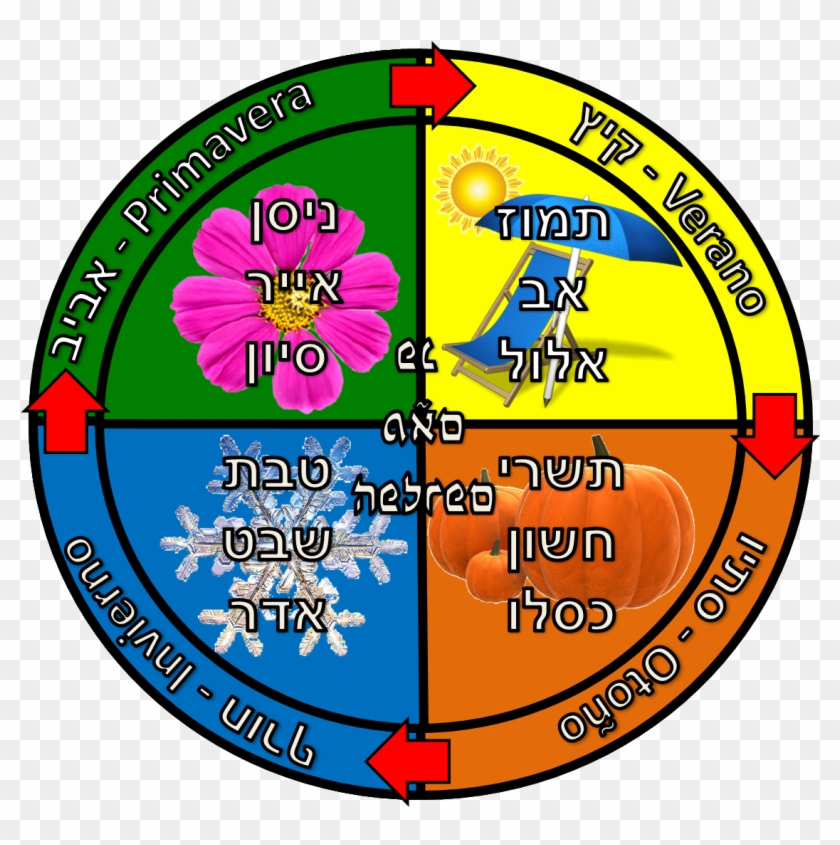 Meses, Estaciones Y Festivales Del Año - Circle #1710106