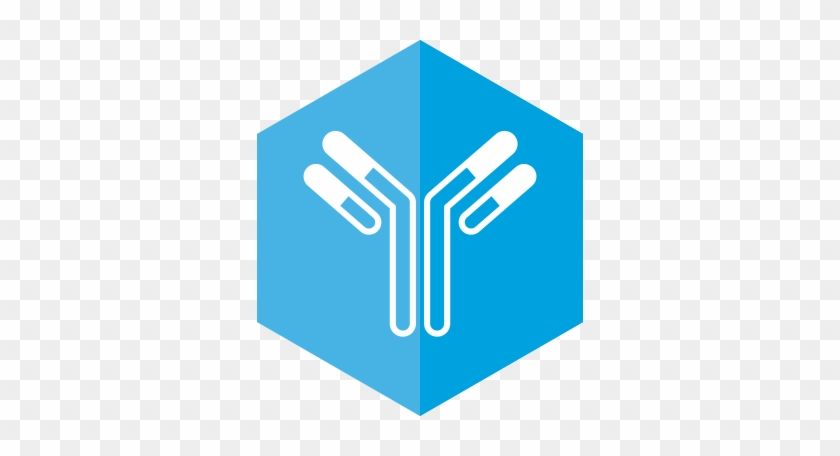 Antibody Development Image - Ironhack Logo #1710715