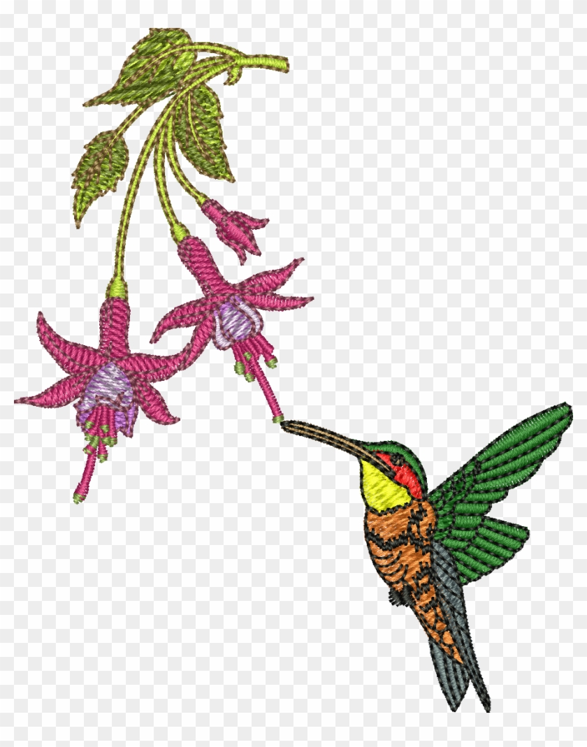 Hummingbird Clipart Embroidery Digitizing - Rufous Hummingbird #1710968