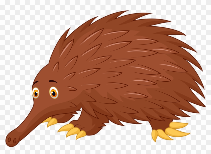 Фотки Mammals, Clip Art, Animals, Illustrations - Echidna #1710995