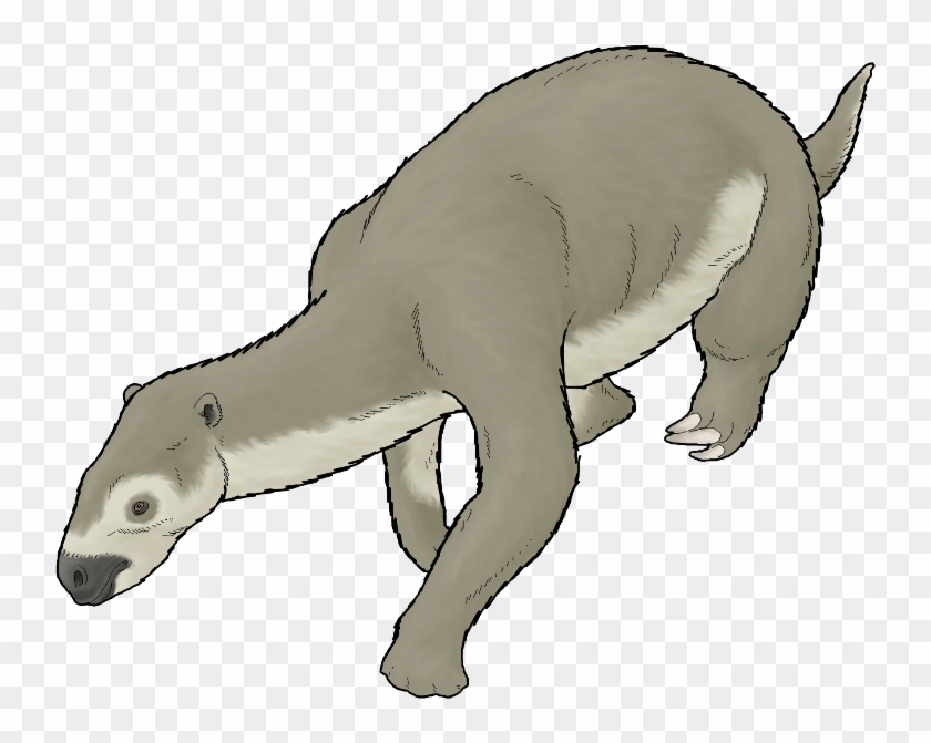 Pronothrotherium Typicum By Wsnyder On Deviantart - Longdog #1711000